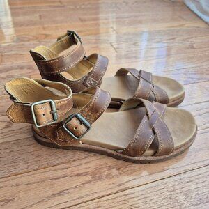 Timberland Natoma Y-Strap Sandal Brown 6